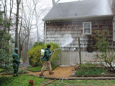 pressure washing chattanooga