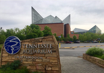 High-rise window cleaning Chattanooga