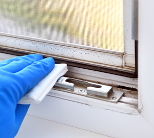 Window Cleaning Company East Brainerd